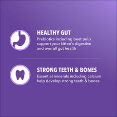 IAMS Proactive Health Kitten image shows DHA supporting healthy brain development.
