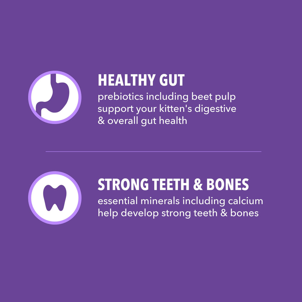 IAMS Proactive Health Kitten omega-3-dha image underscores brain and vision support.