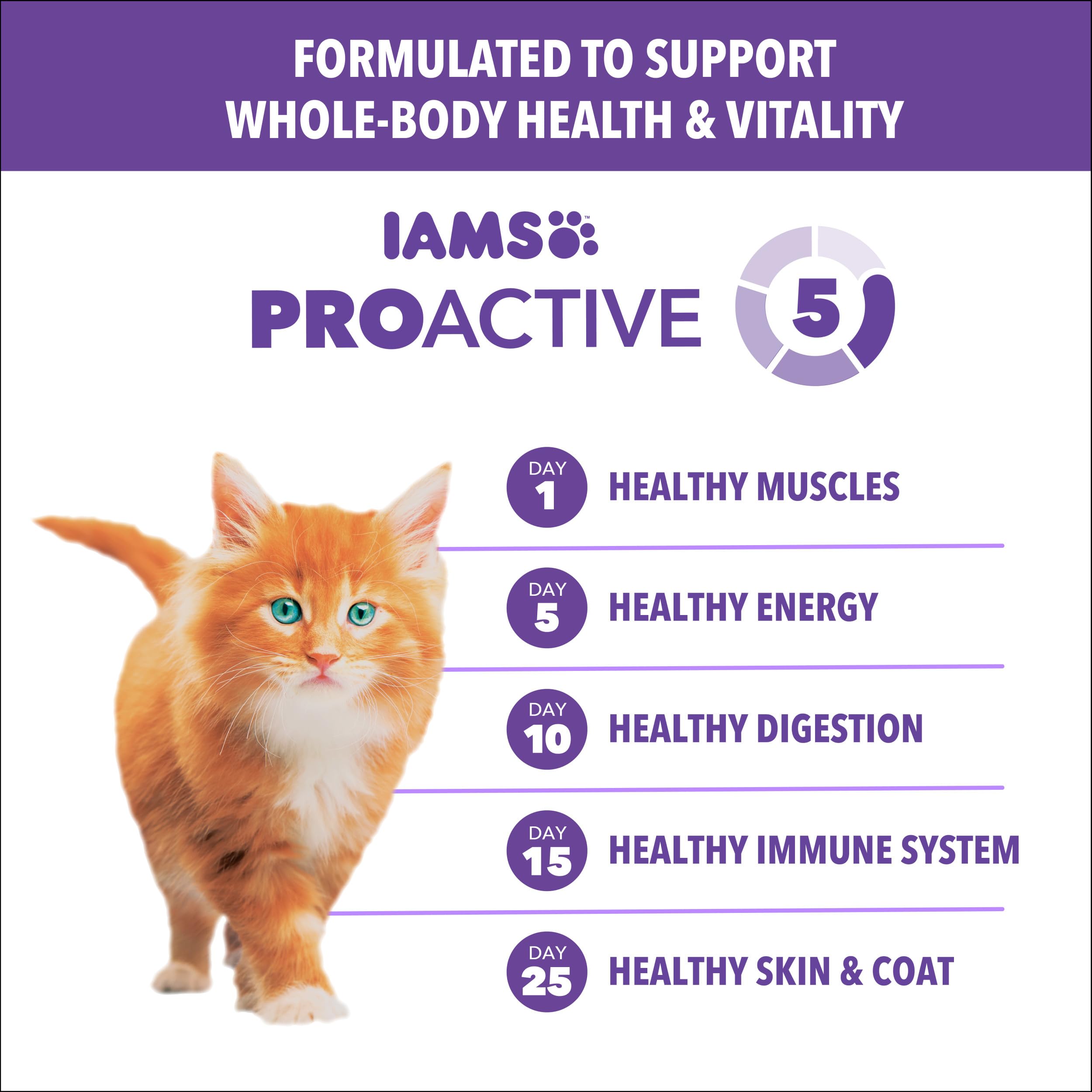 IAMS Proactive Health Kitten image emphasizes Vitamin E for immune support.
