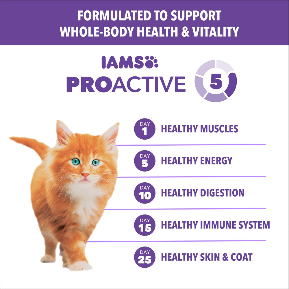 IAMS Proactive Health Kitten image emphasizes Vitamin E for immune support.
