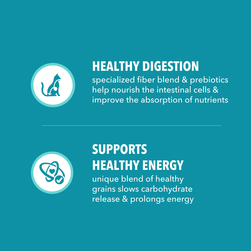 IAMS Proactive Health L-carnitine ingredient label hints at metabolic support possibilities.