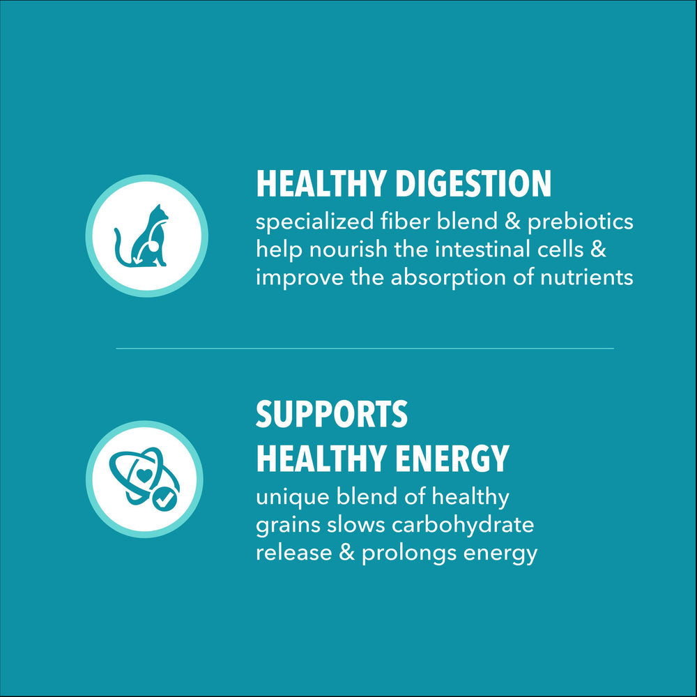 L-carnitine enriched IAMS kibble for metabolism support