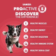 IAMS Proactive Health Lamb & Rice minichunks close-up, ideal for measured meals.