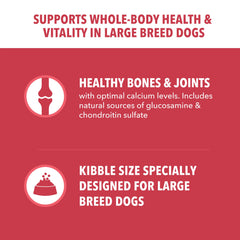 IAMS Proactive Health Large Breed Lamb & Rice calcium and glucosamine support joints