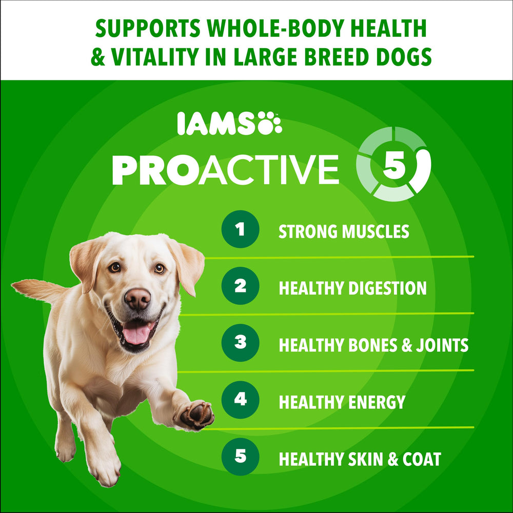 IAMS Proactive Health Large Breed kibble highlights chicken ingredient in the formula