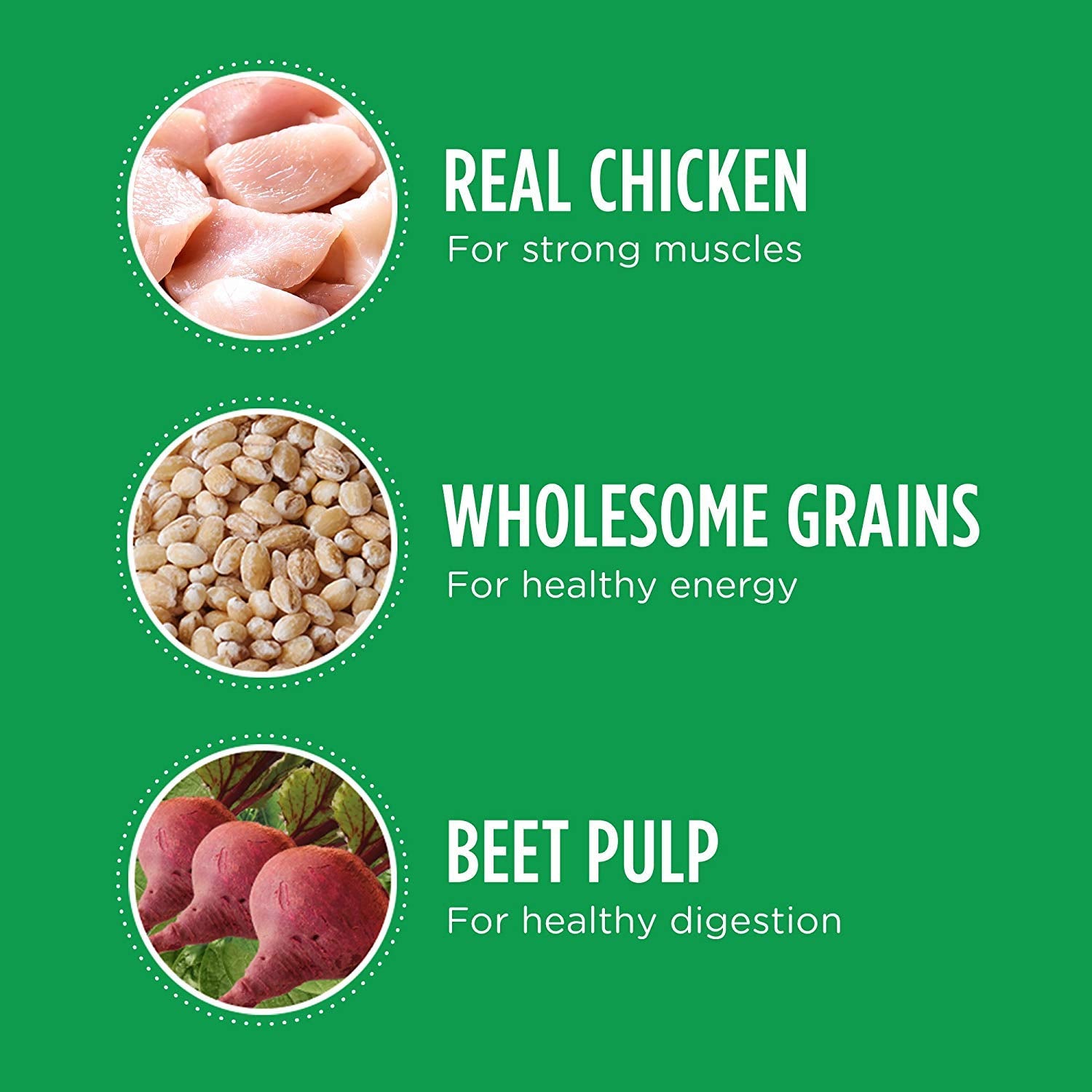 IAMS Proactive Health Large Breed digestive care with prebiotics image.