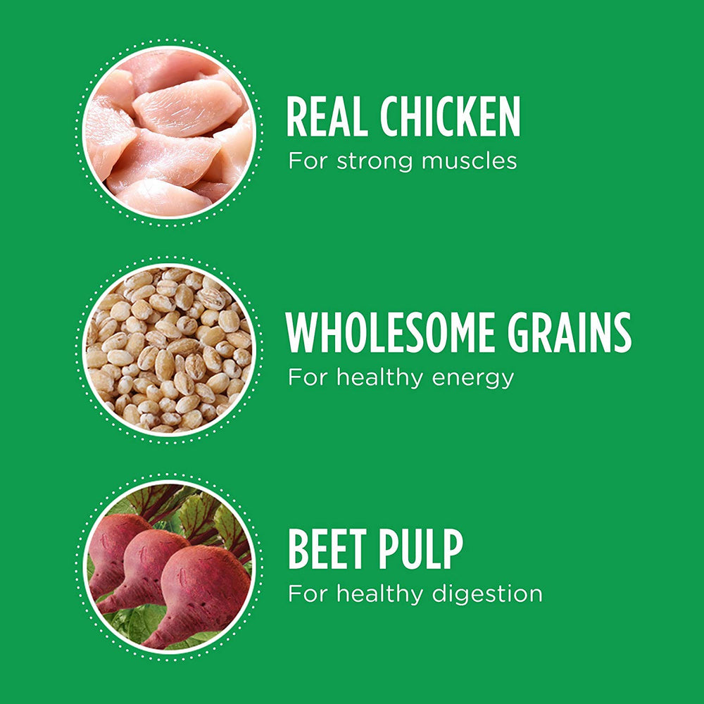 IAMS Proactive Health Large Breed digestive care with prebiotics image.