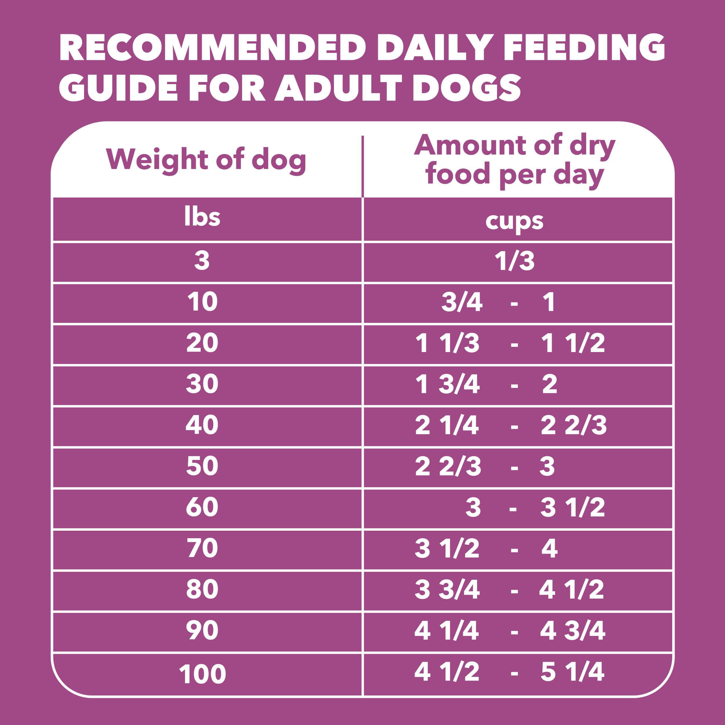 IAMS Proactive Health large-breed senior dog enjoying a bowl during mealtime.