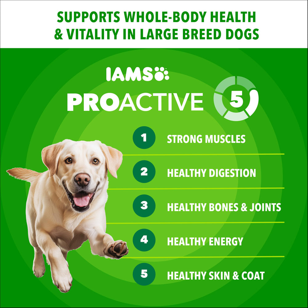 IAMS Proactive Health Large Breed kibble close-up features wholesome grains for steady energy.