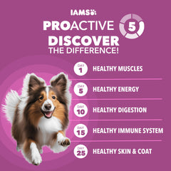 IAMS Proactive Health large-breed kibble closeup highlights crunchy texture for dental support.