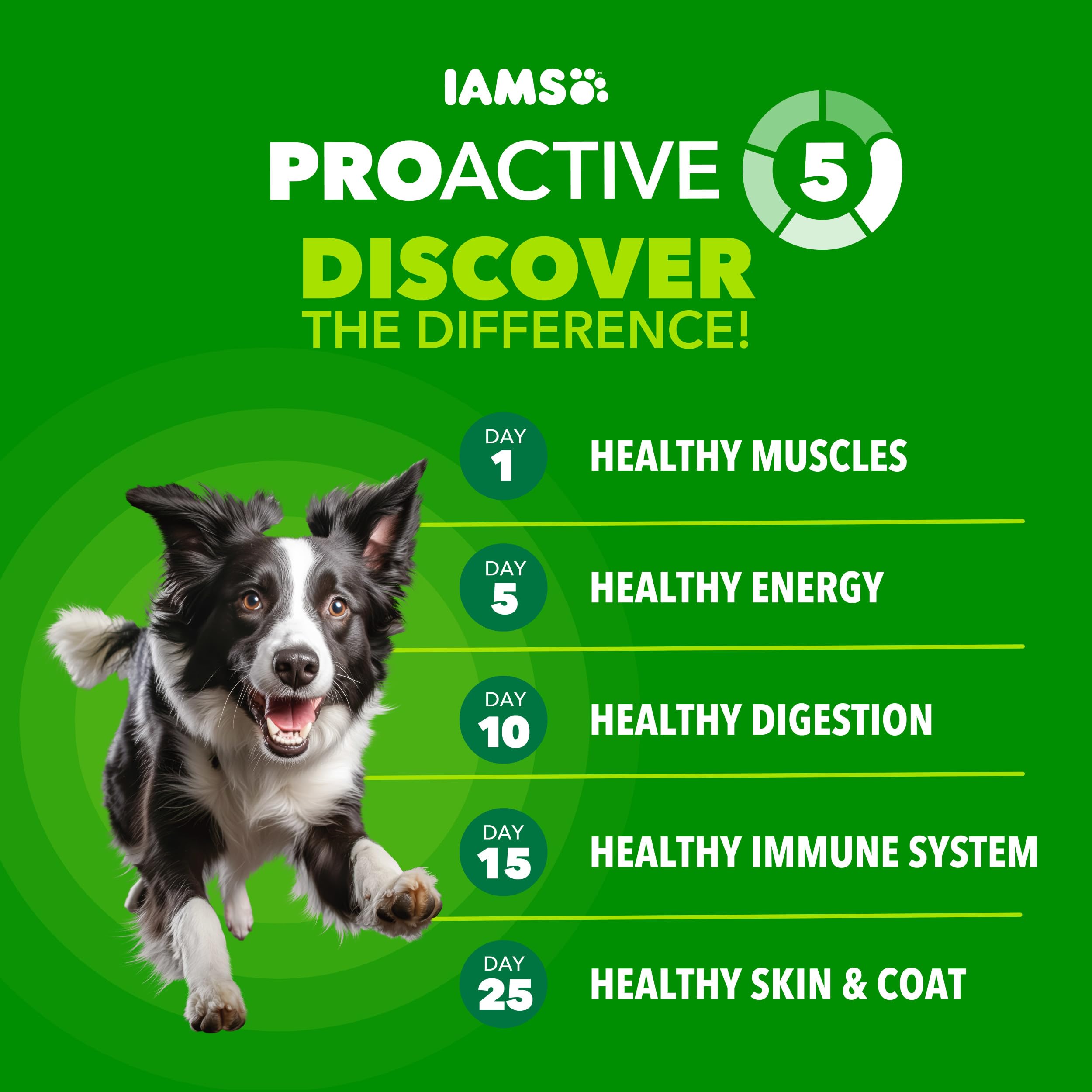 IAMS Proactive Health Large Breed kibble pouring into bowl for digestion support.