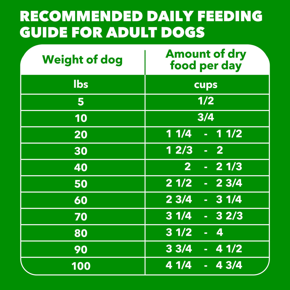 IAMS Proactive Health mealtime scene showing routine feeding for large dogs.