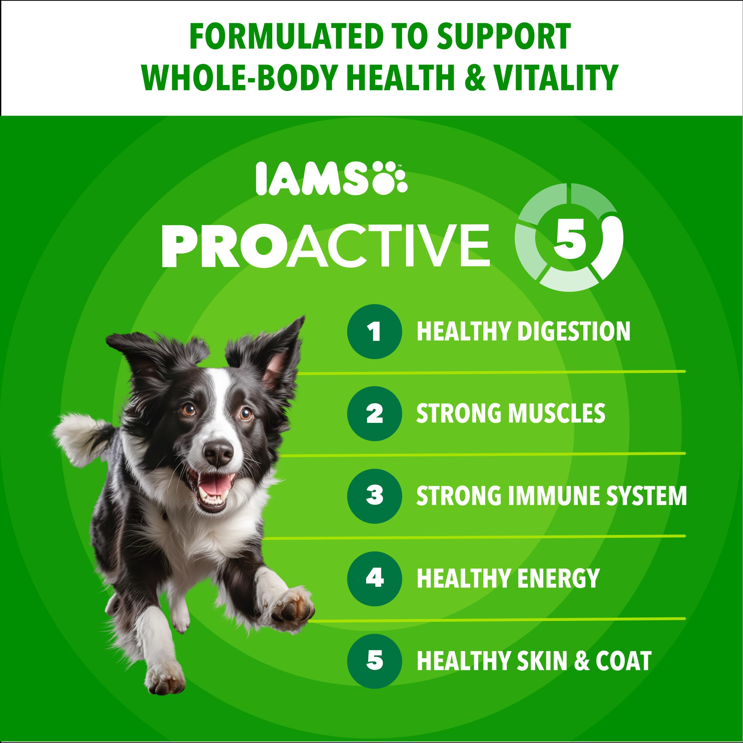 IAMS Minichunks chicken-rice bowl highlights protein-rich meal