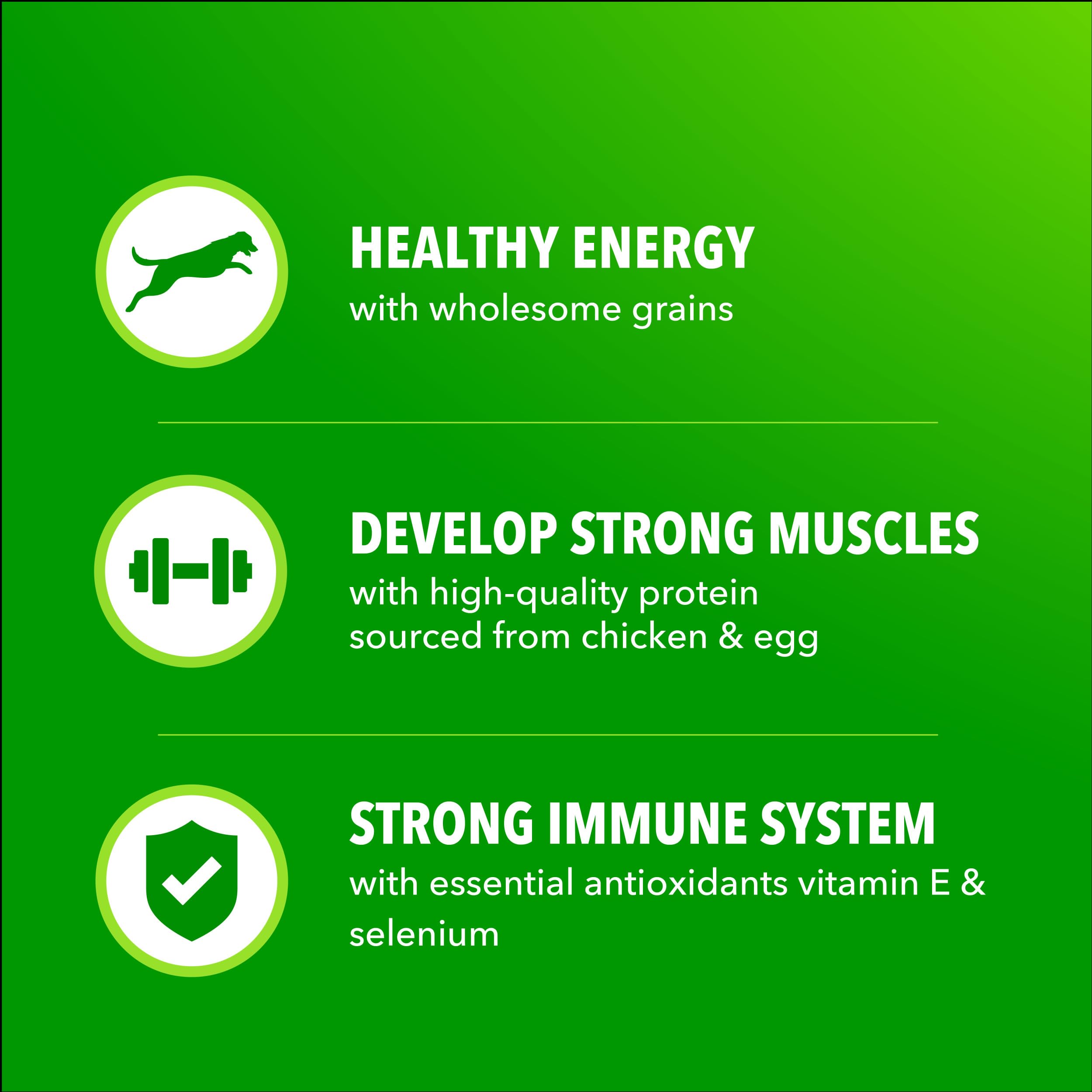 IAMS Proactive Health Minichunks dry dog food designed for adult dogs.