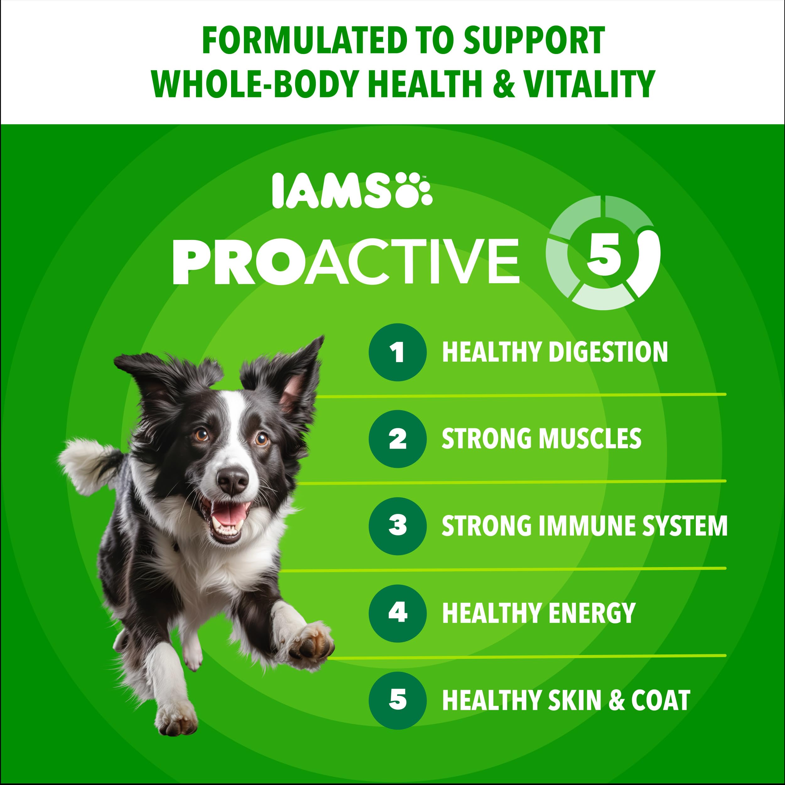 Close-up of crunchy IAMS Minichunks kibble texture for dogs.