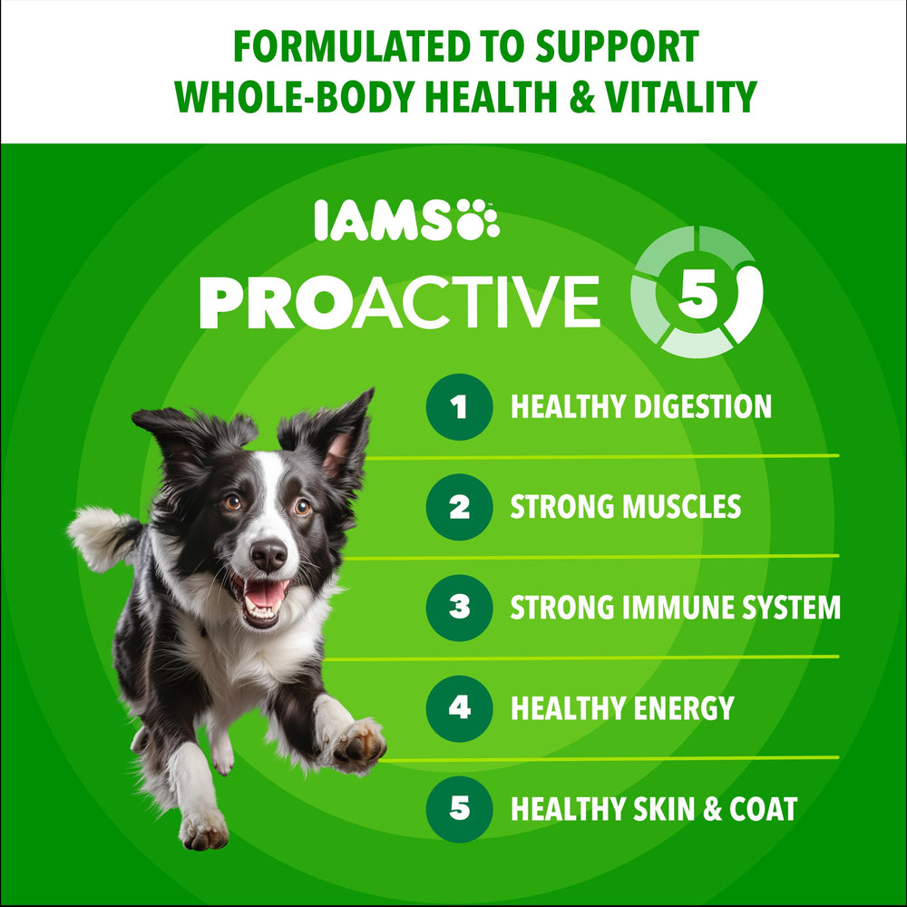Close-up of crunchy IAMS Minichunks kibble texture for dogs.