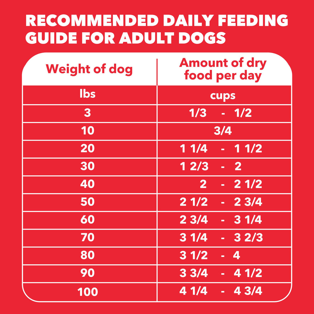 IAMS Proactive Health Minichunks Lamb & Rice closeup texture emphasizing natural ingredients