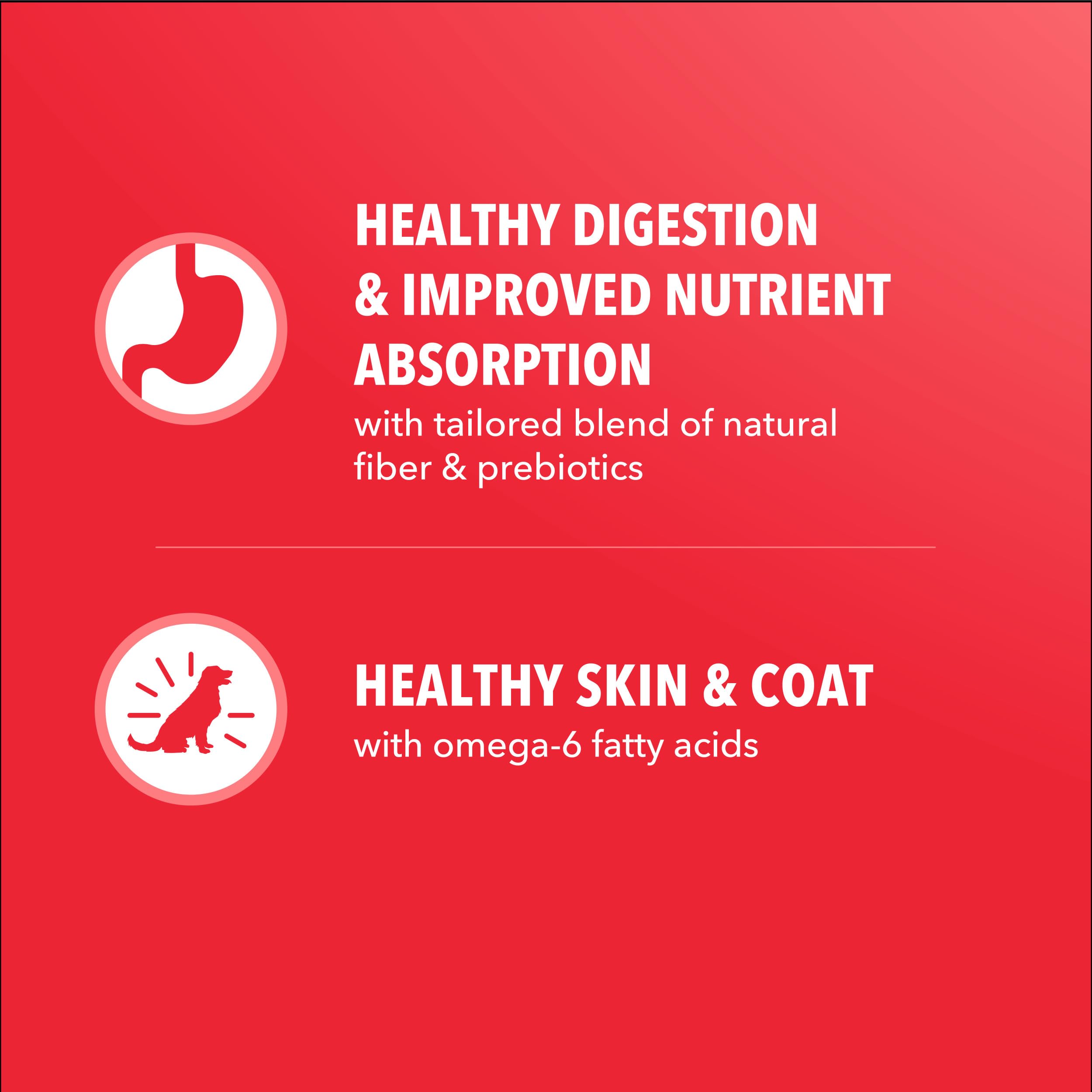 IAMS Proactive Health Minichunks Lamb & Rice ingredients graphic featuring real lamb