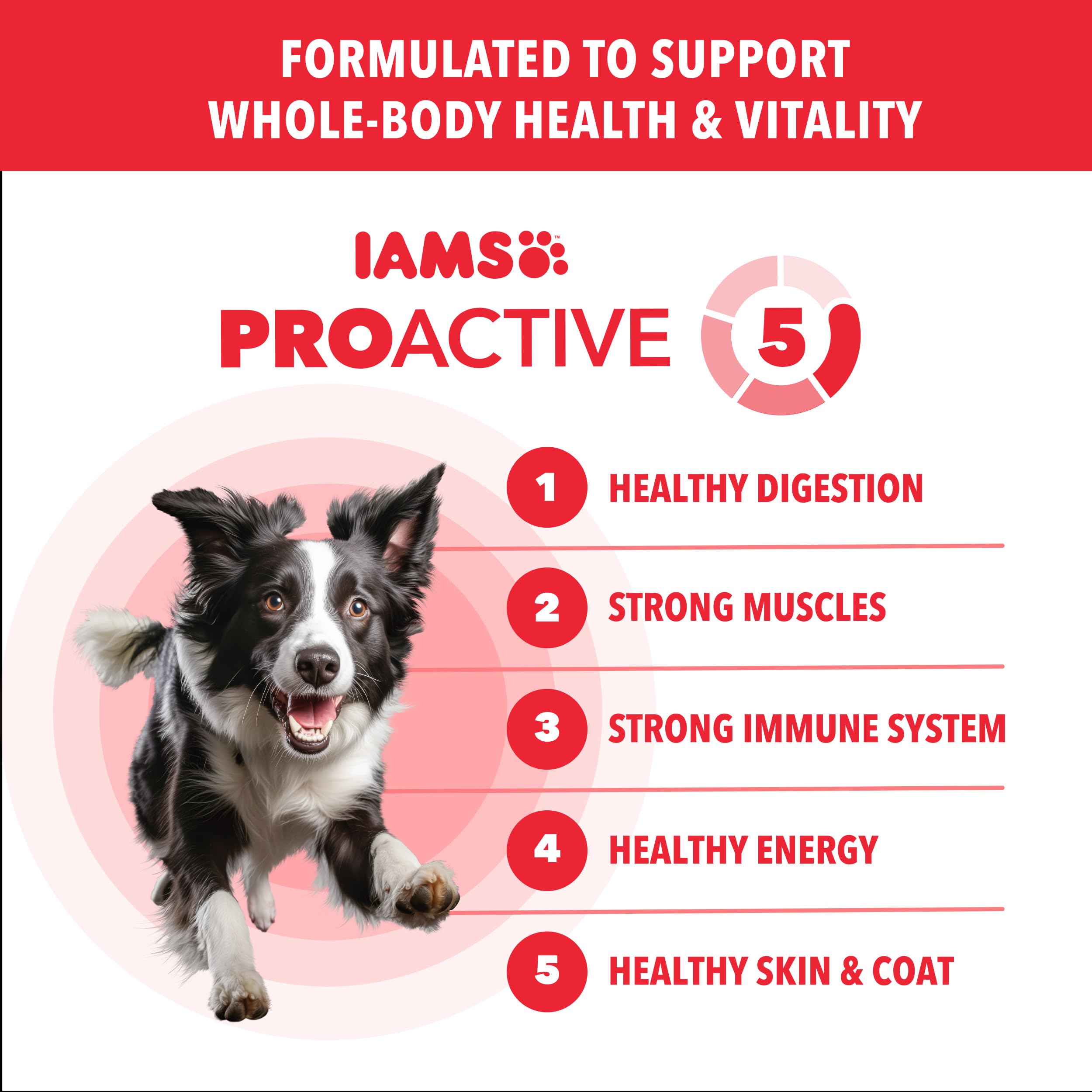 IAMS Proactive Health Minichunks Lamb & Rice serving bowl with kibble portion for mealtimes