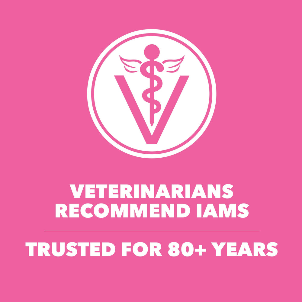 IAMS Proactive Health natural ingredients close-up with no fillers