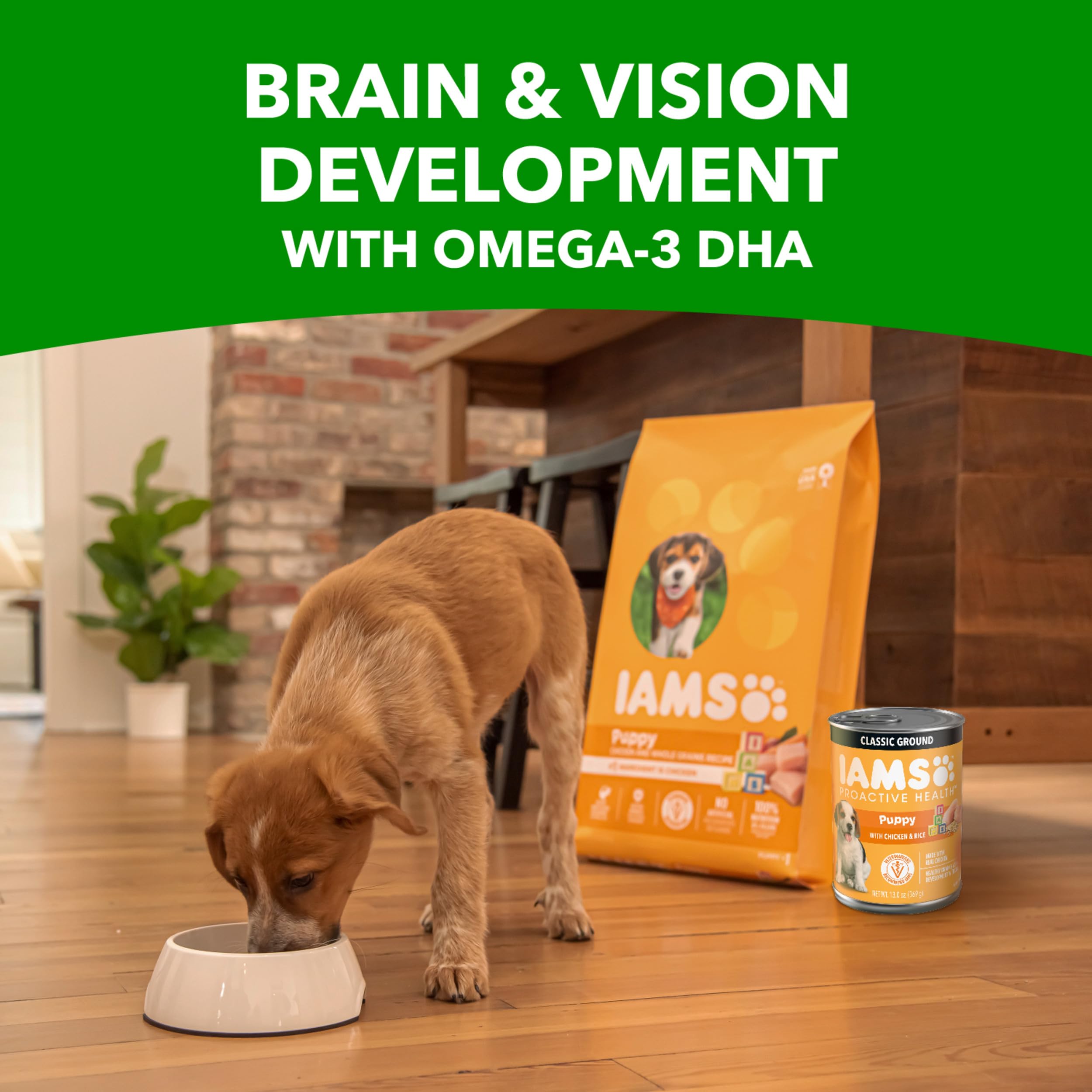 IAMS Proactive Health Puppy Wet Food glossy packaging signals quality and freshness.