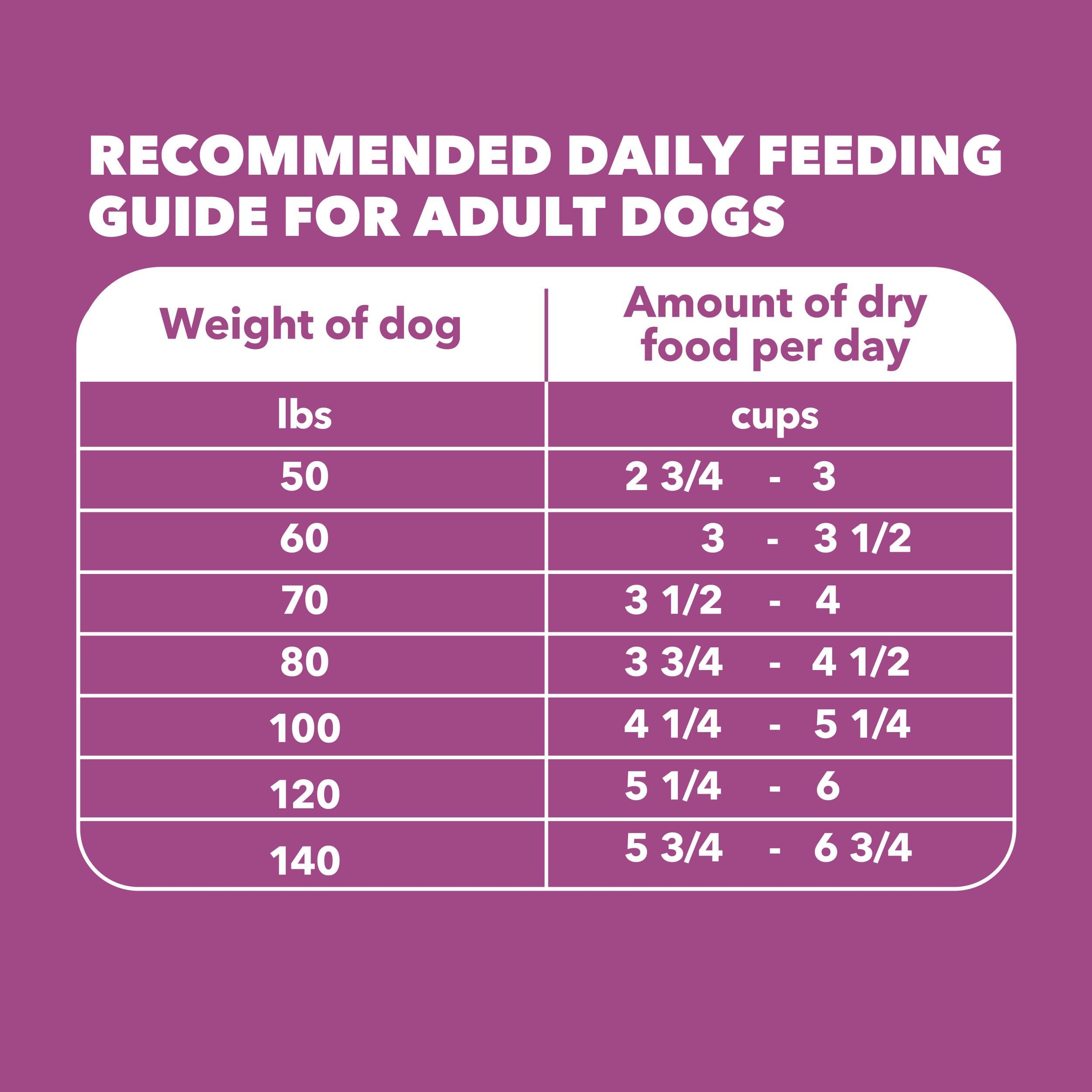 IAMS Proactive Health real chicken recipe for large breeds promotes lasting energy for daily activities.