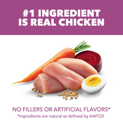 IAMS Proactive Health real chicken first ingredient bowl highlights protein source