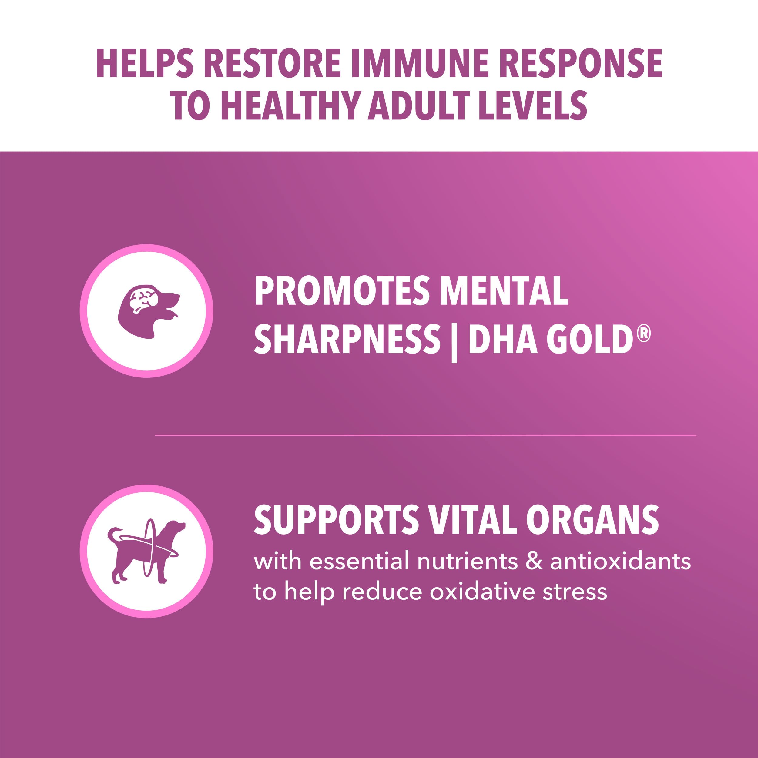 IAMS Proactive Health real chicken ingredient emphasizes quality protein for daily energy.