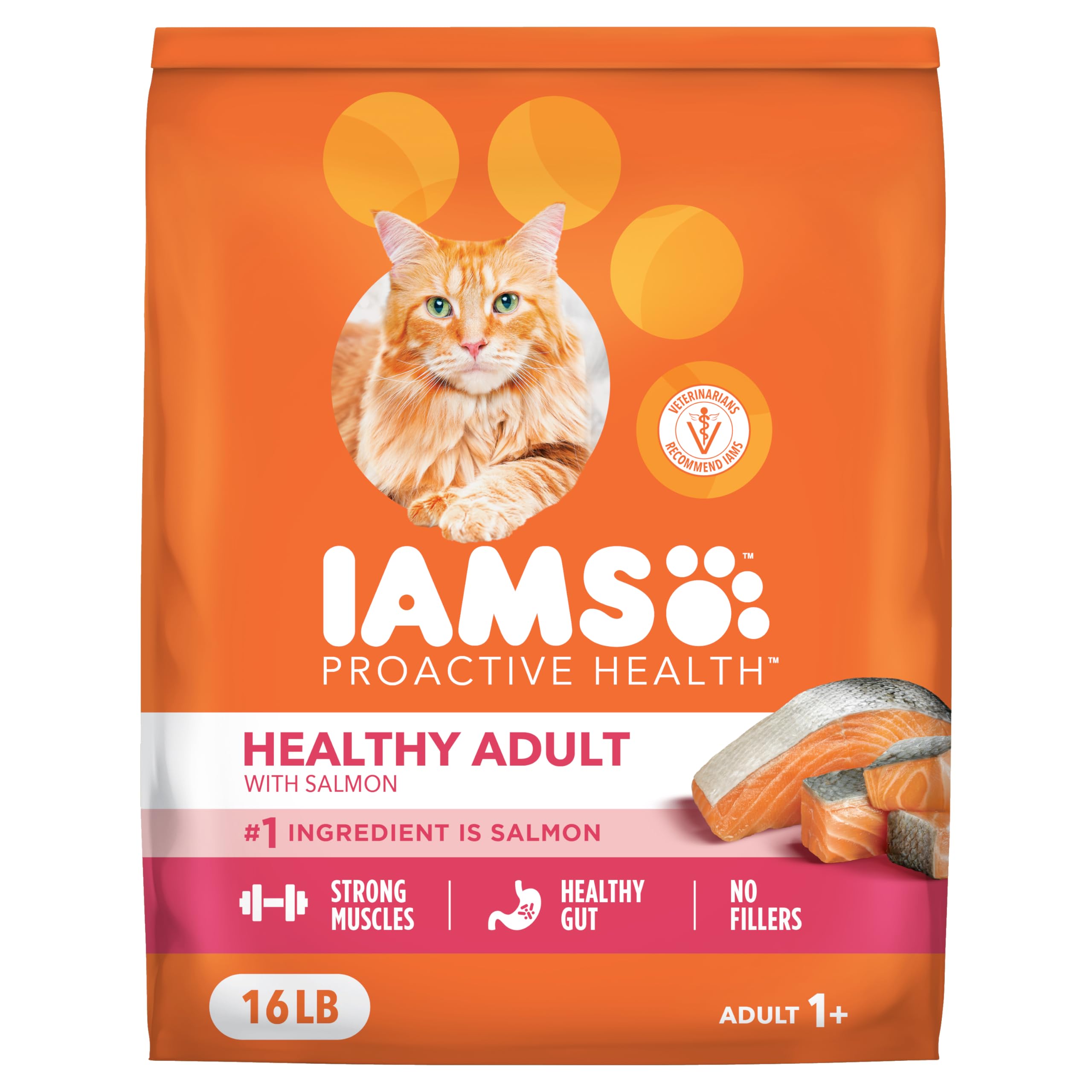 IAMS Proactive Health Salmon dry cat food bag front shows premium adult nutrition