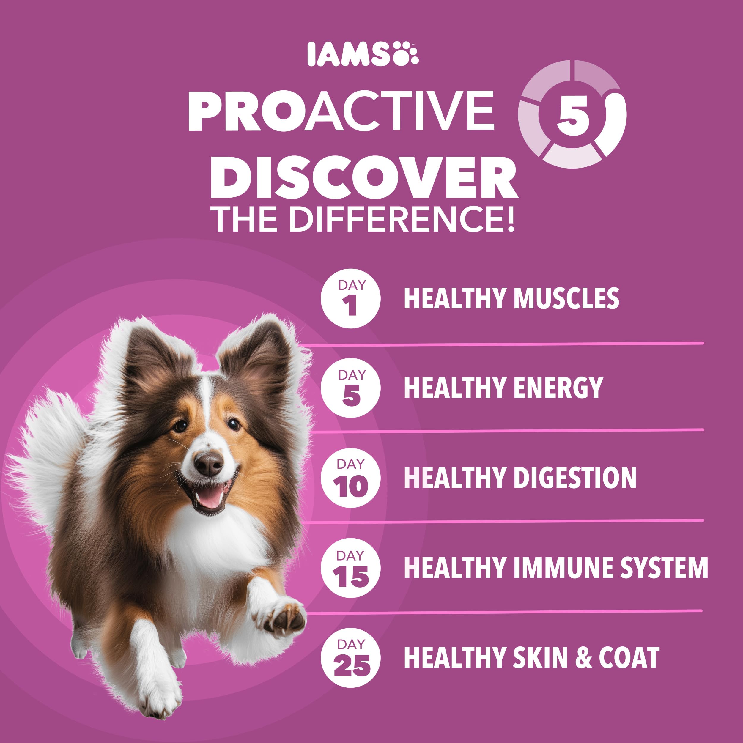 IAMS Proactive Health senior dog meal serving emphasizes real chicken