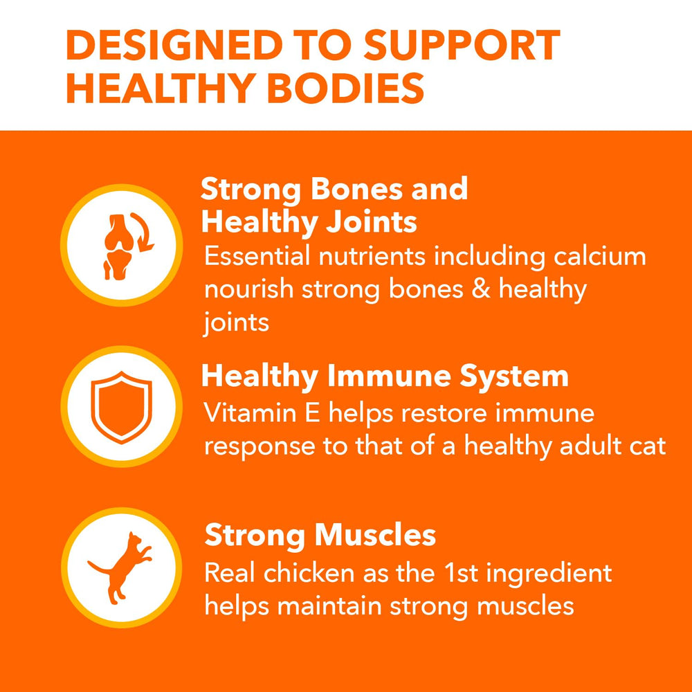 IAMS Proactive Health Senior serving bowl with kibble ready to serve