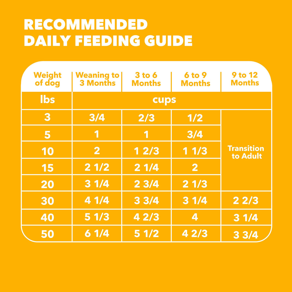 IAMS Proactive Health skin and coat focus with balanced fatty acids.