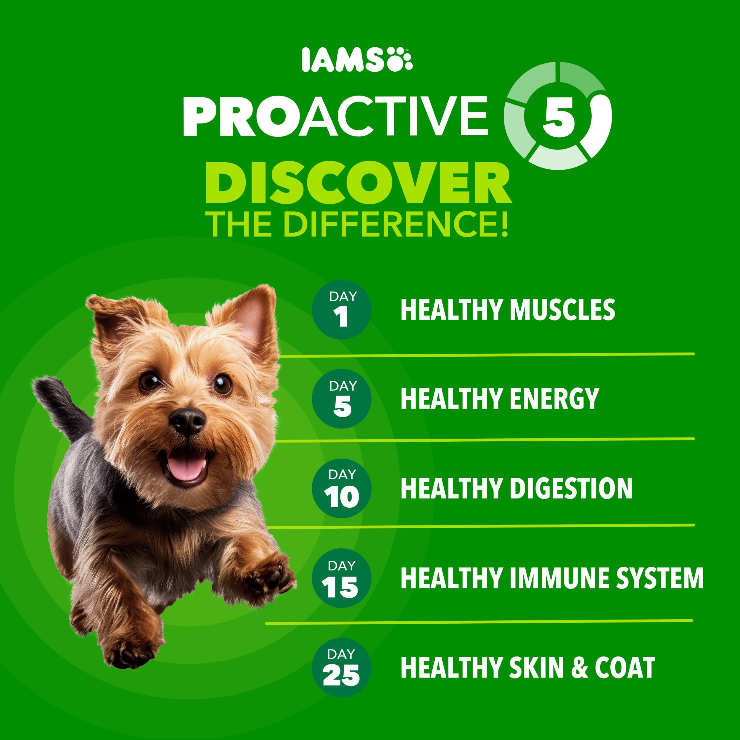 Kibble closeup of IAMS small breed bites designed for tiny mouths.