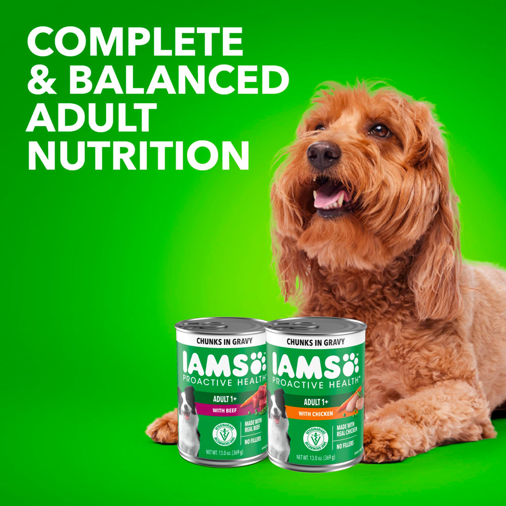 Adult dog enjoying IAMS Proactive Health Wet Dog Food