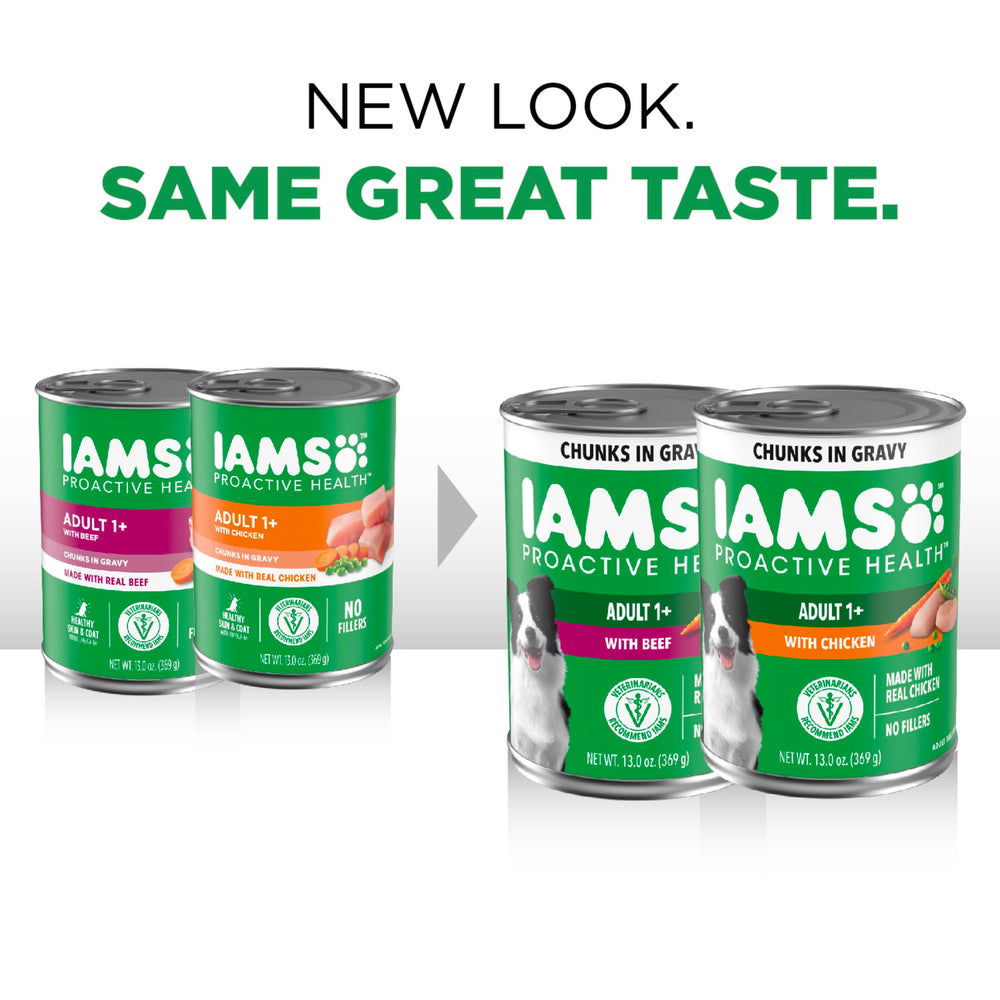 IAMS Proactive Health beef chunks in gravy 13oz can for protein‑packed meals