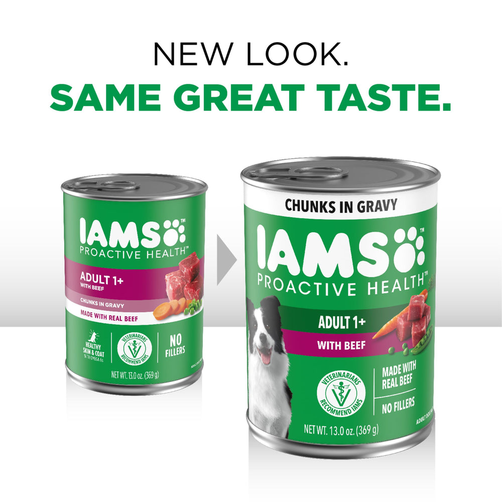 IAMS Proactive Health Wet Dog Food can in a bowl for daily feeding
