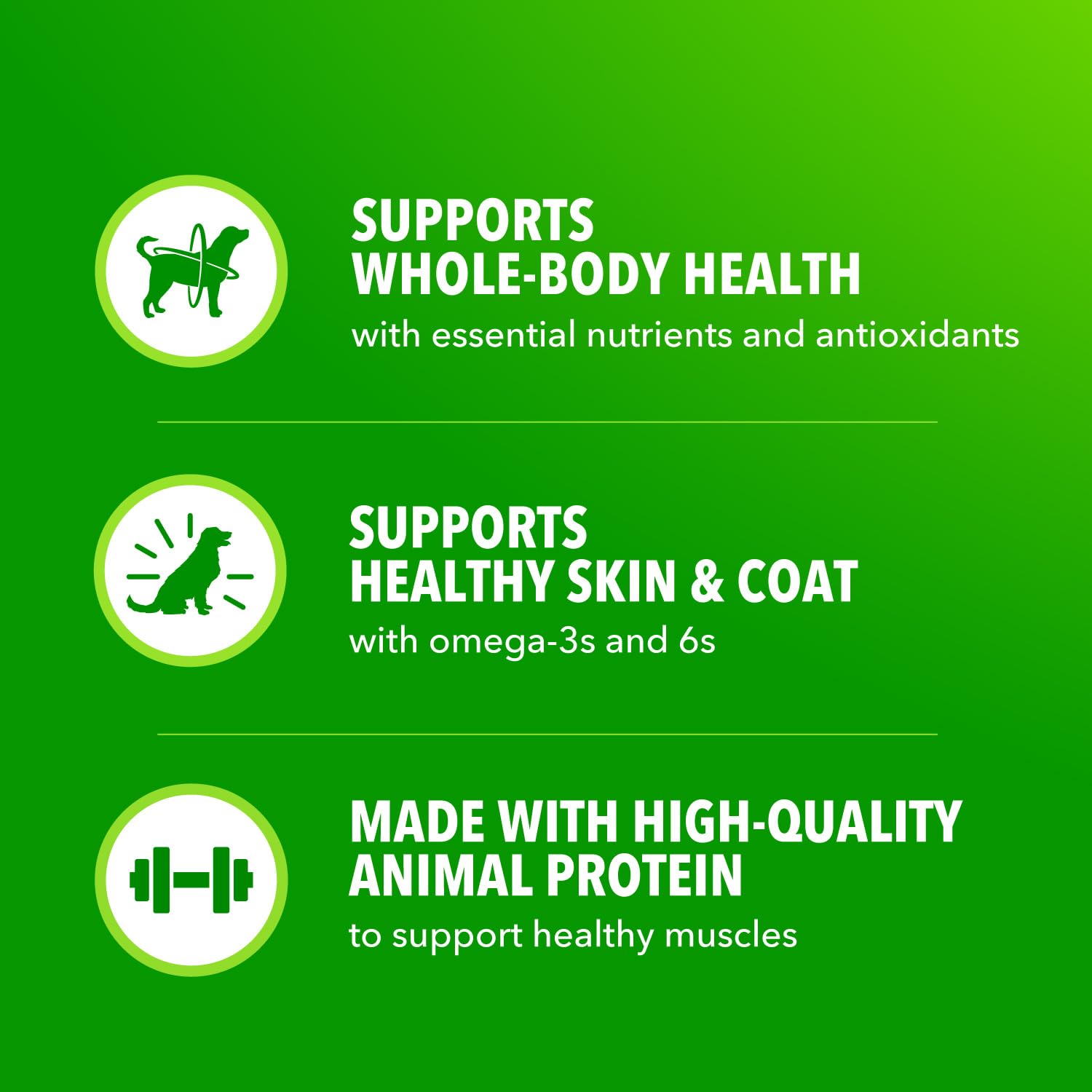 IAMS Proactive Health wet dog food close-up of chicken chunks for protein