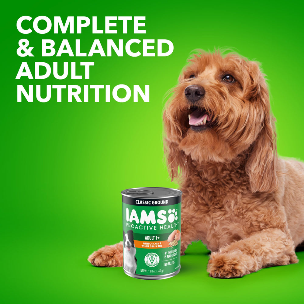 Dog enjoying a savory gravy meal during family mealtime.