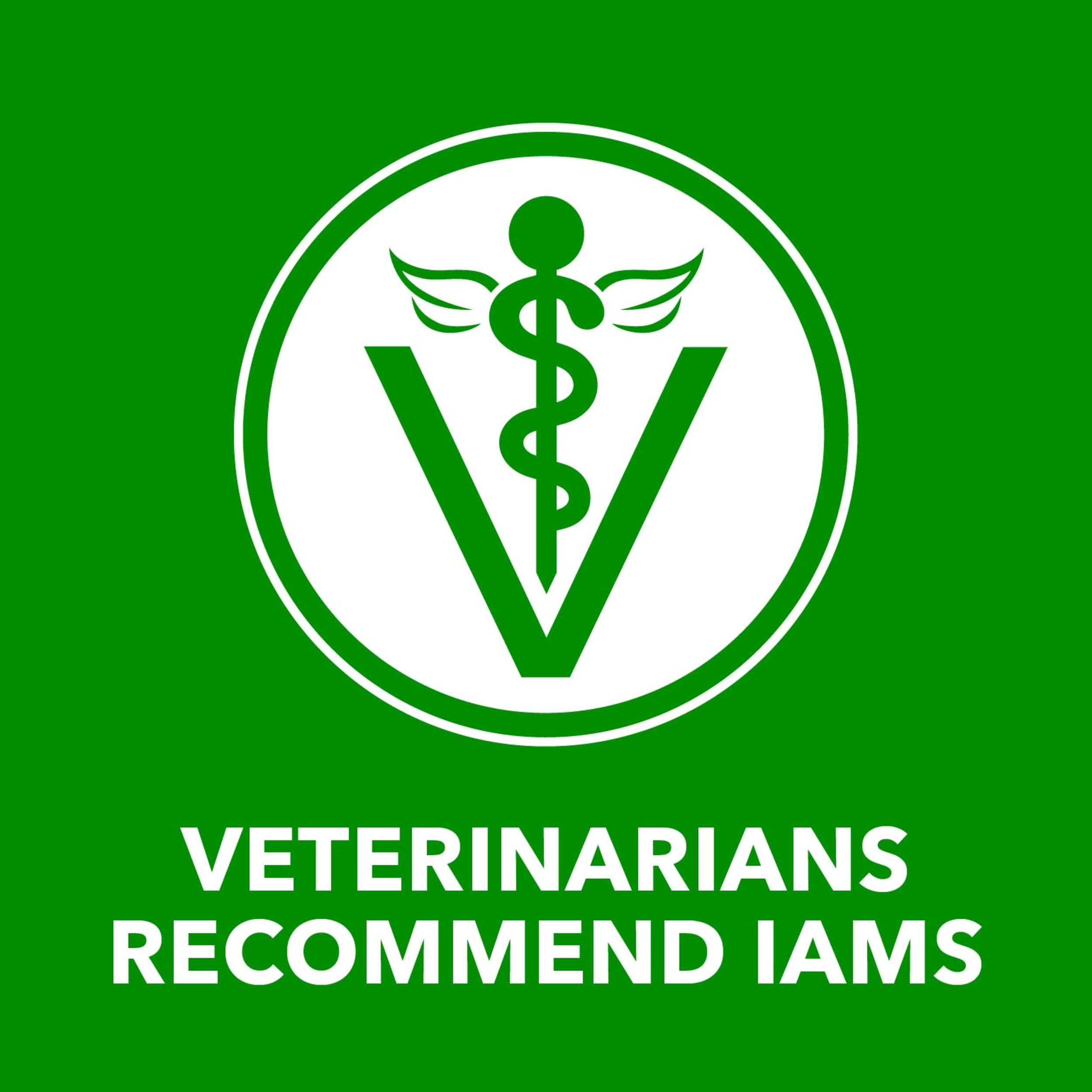 IAMS Proactive Health Lamb Chunks in Gravy protein-rich meal option