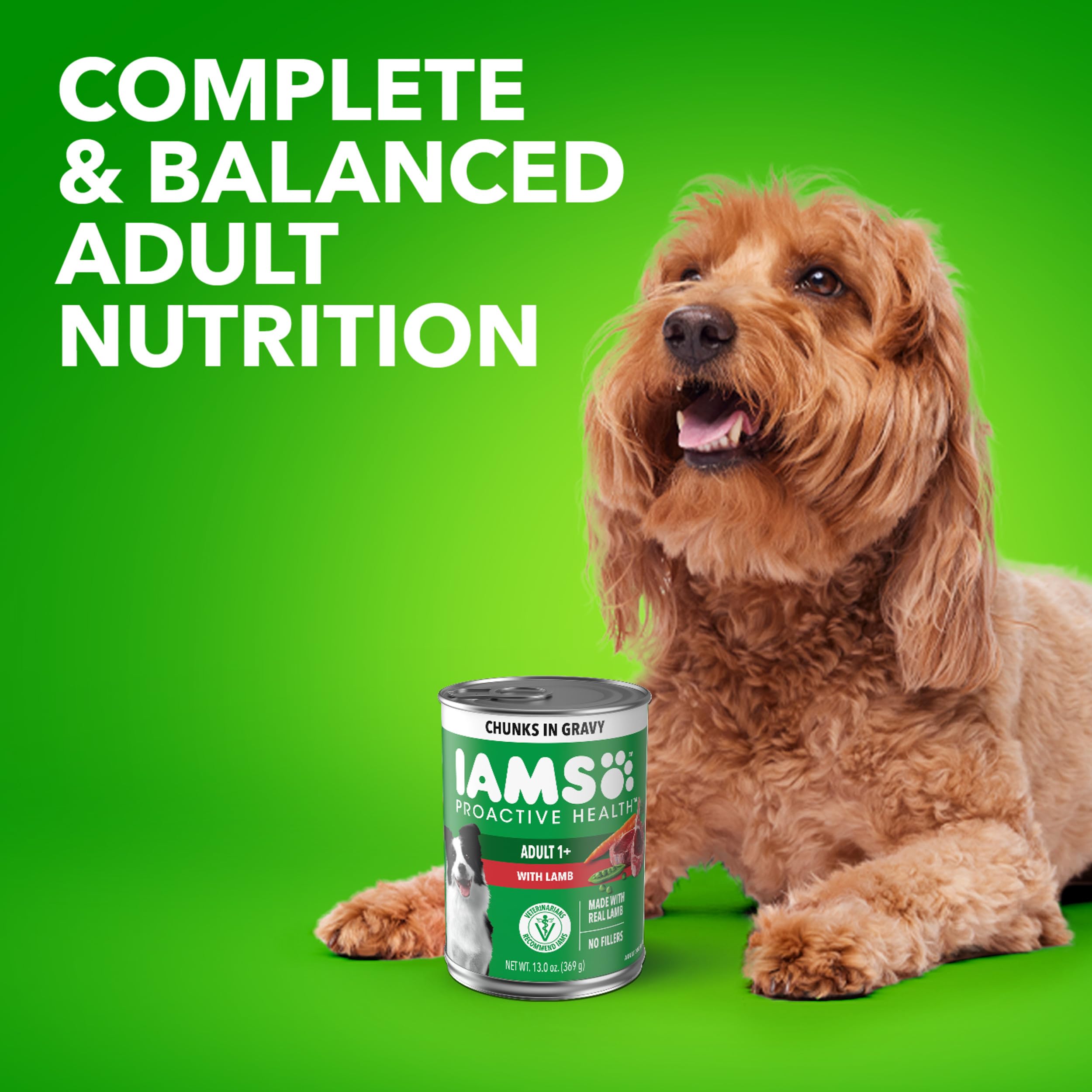IAMS Proactive Health Lamb Chunks in Gravy ready-to-serve can design
