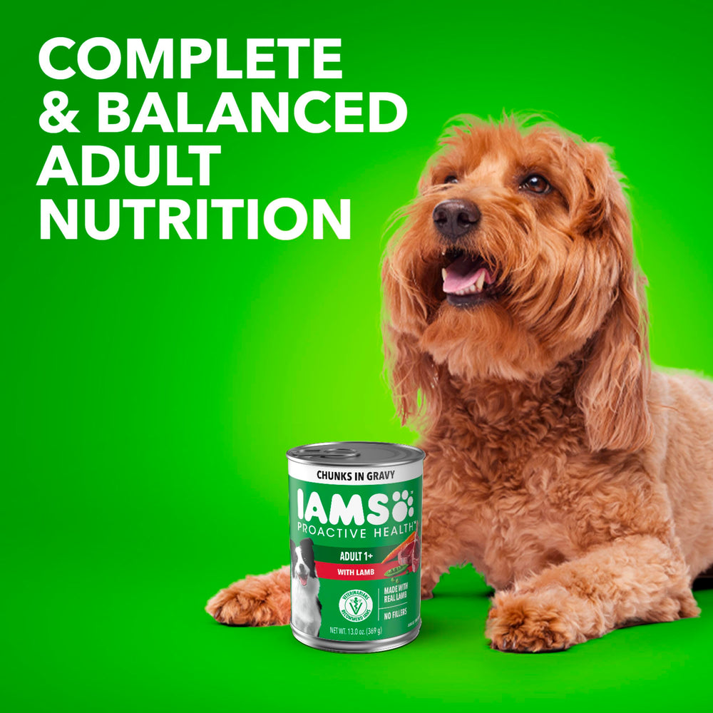 IAMS Proactive Health Lamb Chunks in Gravy ready-to-serve can design