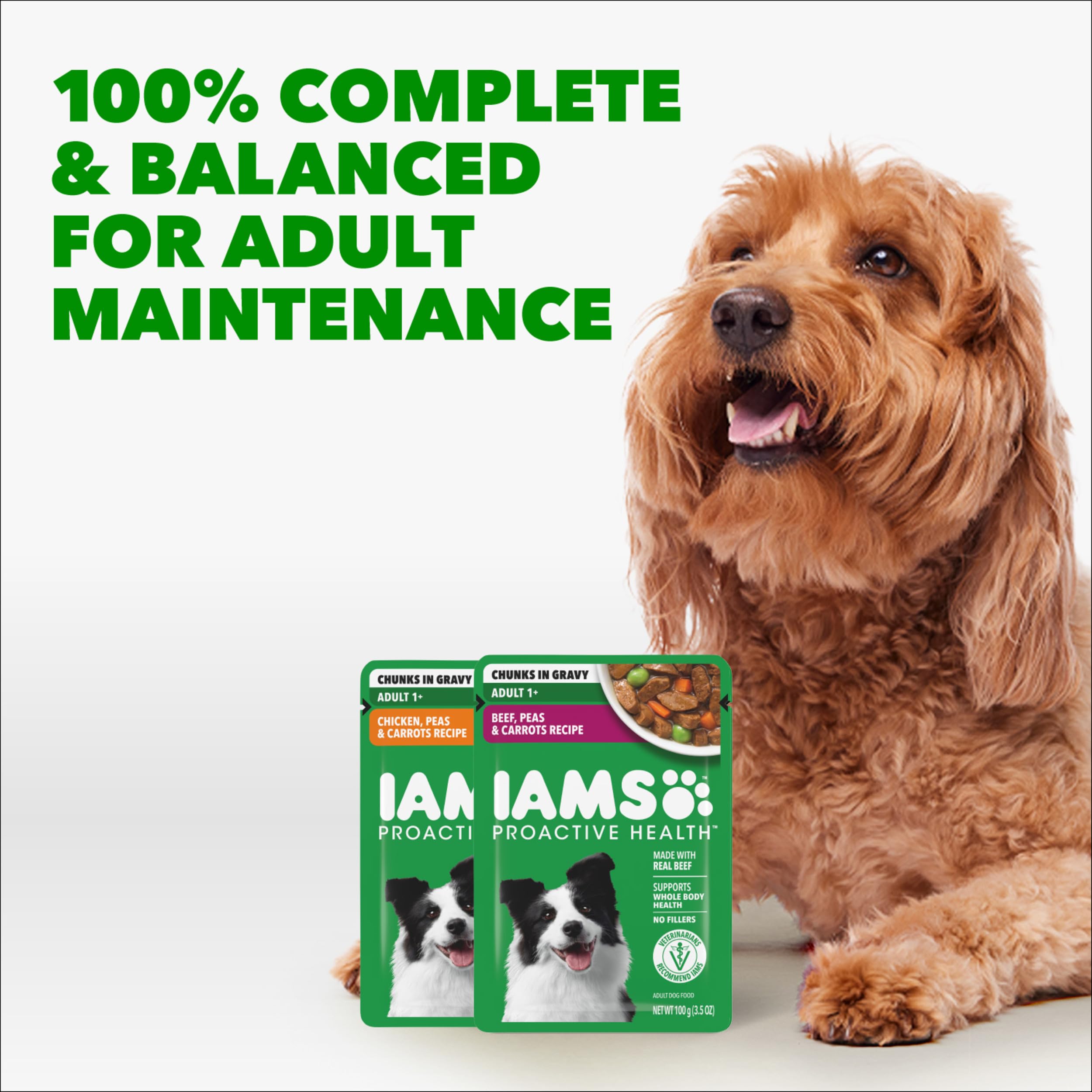 IAMS Proactive Health lamb pouch closeup emphasizing flavorful protein