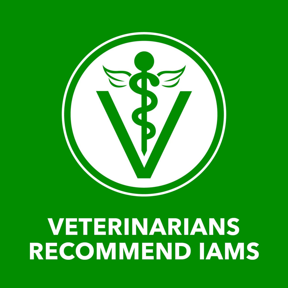 Omega-6 fatty acids focus image from IAMS Proactive Health Wet Dog Food