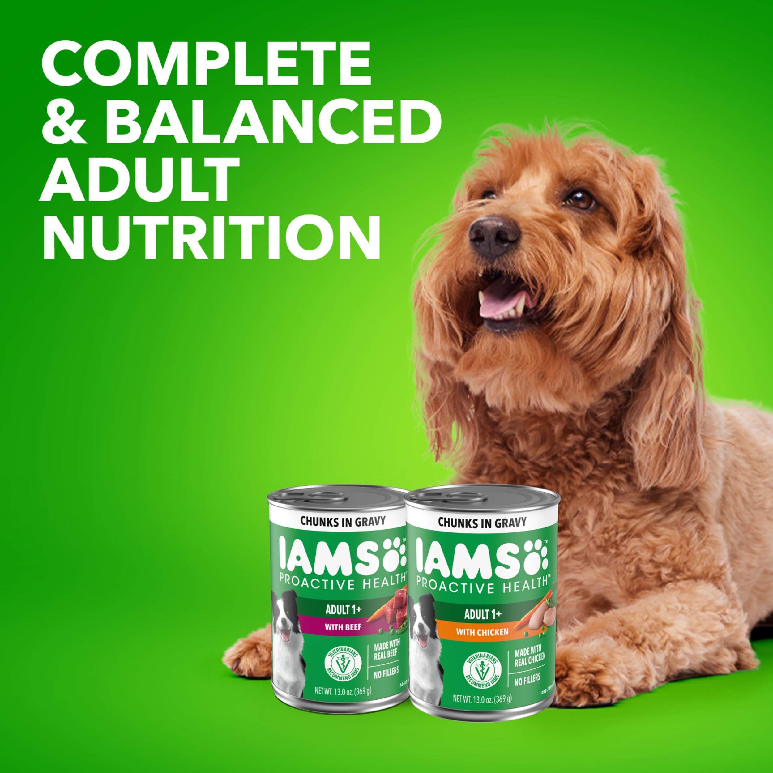 Serving dish with IAMS Proactive Health wet dog food ready to serve