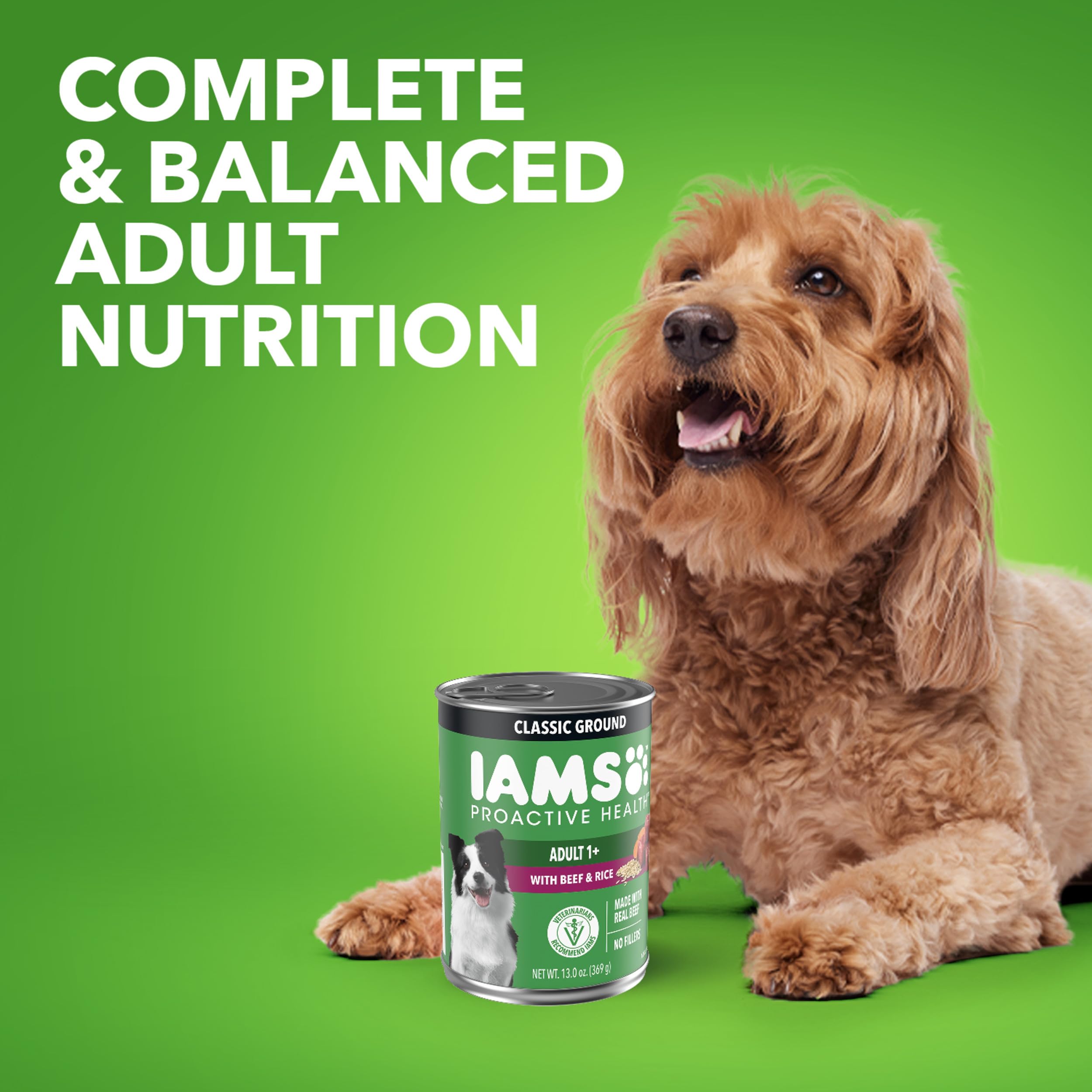 Savory gravy enhances mealtime ritual for dogs.
