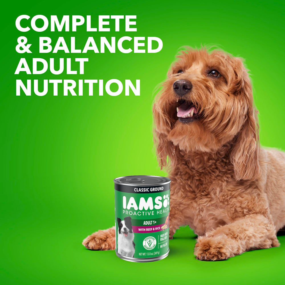Savory gravy enhances mealtime ritual for dogs.
