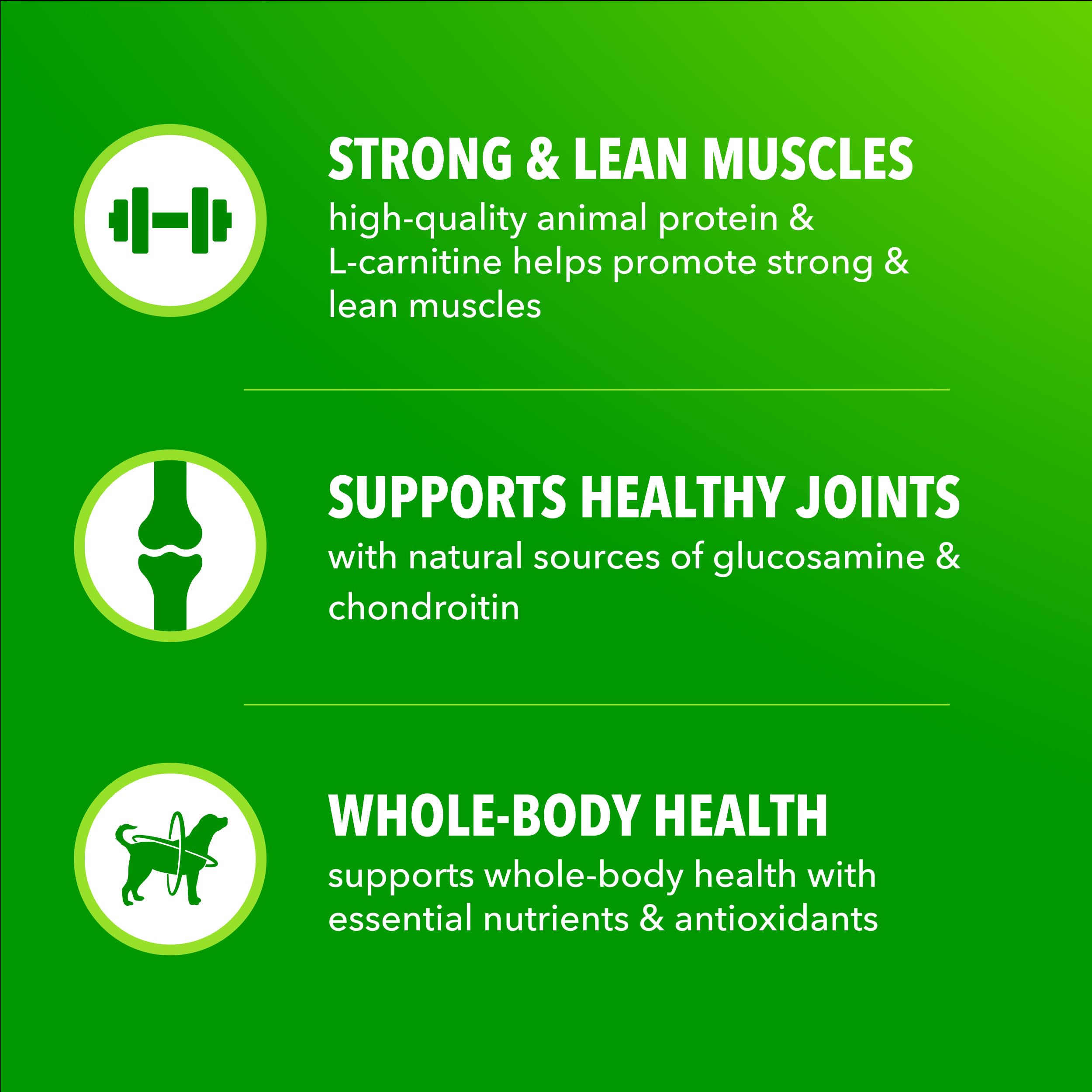 Wholesome grains visible in IAMS formula providing steady energy