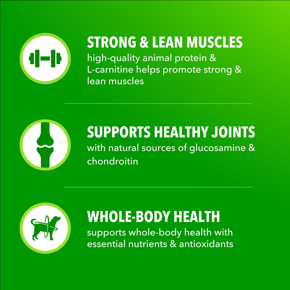Wholesome grains visible in IAMS formula providing steady energy