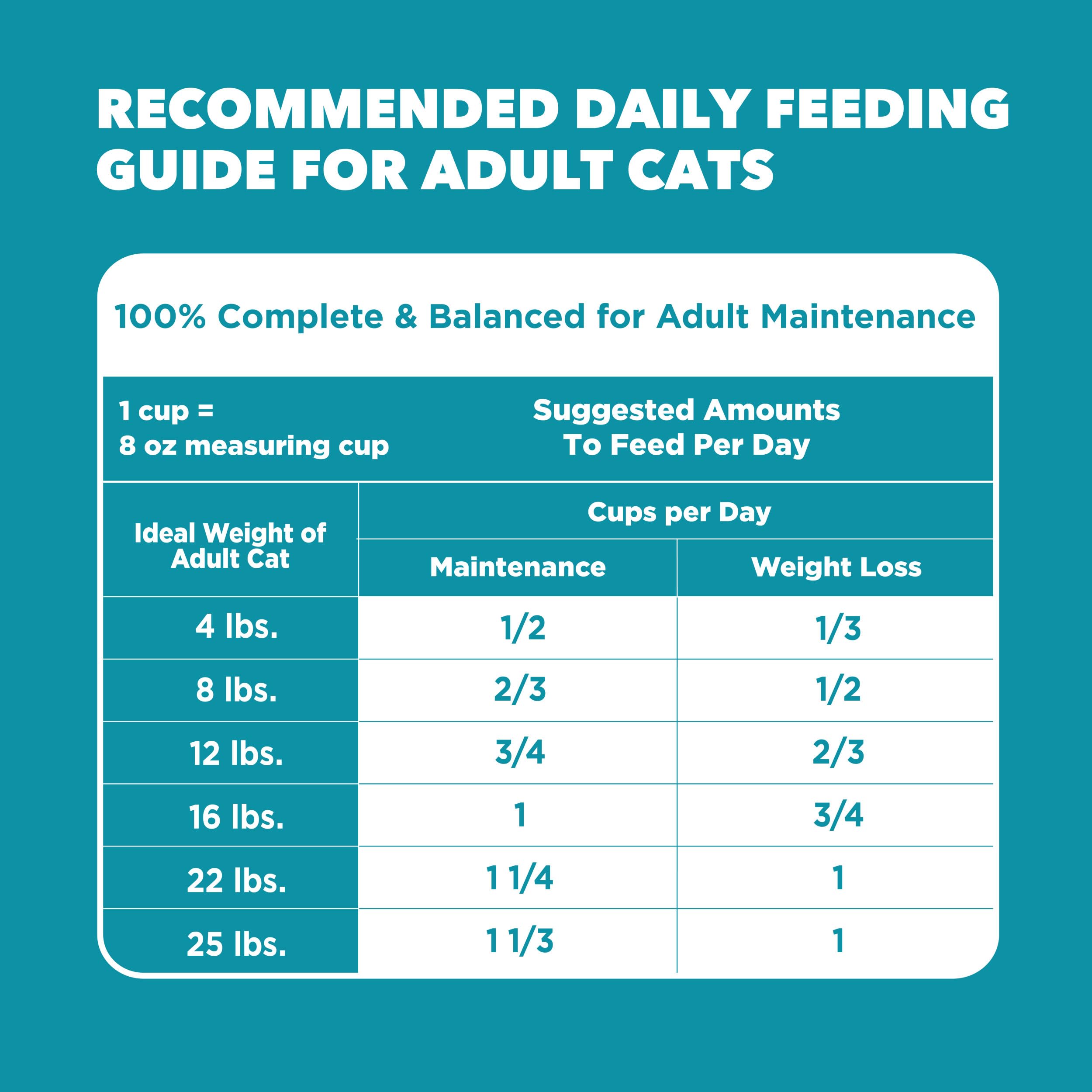 IAMS Proactive Health kibble closeup showing balanced nutrition.