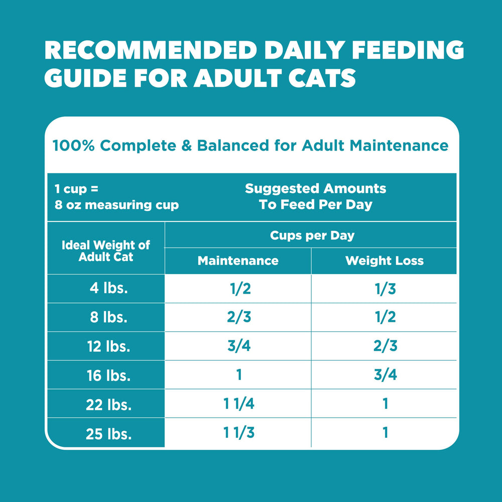 IAMS Proactive Health kibble closeup showing balanced nutrition.